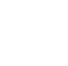 Modiano Logo