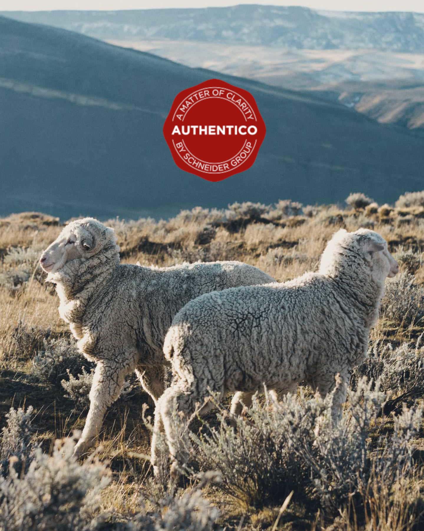 Authentico